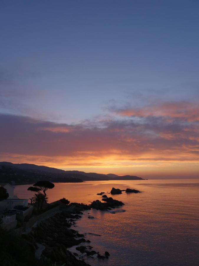A1 La Plage D'Or Le Lavandou Exterior photo